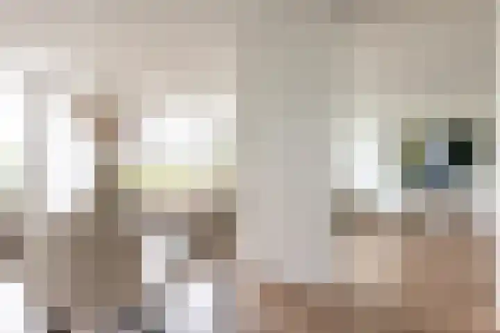 Boezemkade 213 Rotterdam thumbnail 9