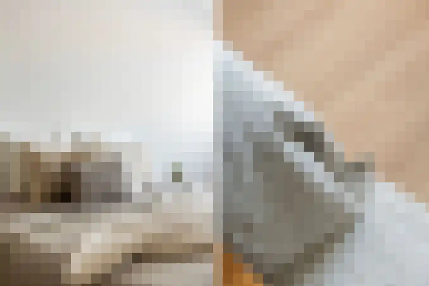 Boezemkade 25 Rotterdam thumbnail 18