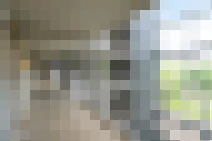 Boezemkade 275 Rotterdam thumbnail 11