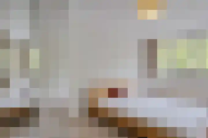 Boezemkade 275 Rotterdam thumbnail 23