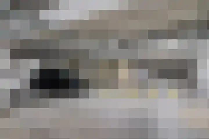 Boezemkade 275 Rotterdam thumbnail 36