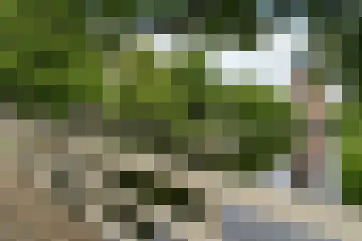 Boezemkade 275 Rotterdam thumbnail 40