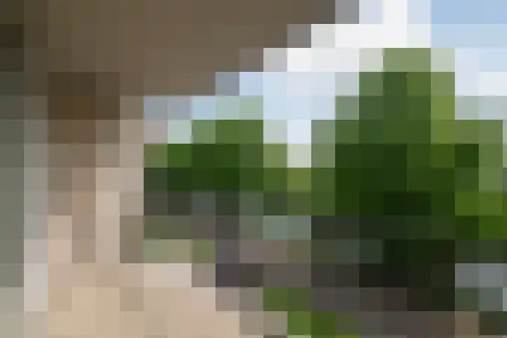 Boezemkade 277 Rotterdam thumbnail 14