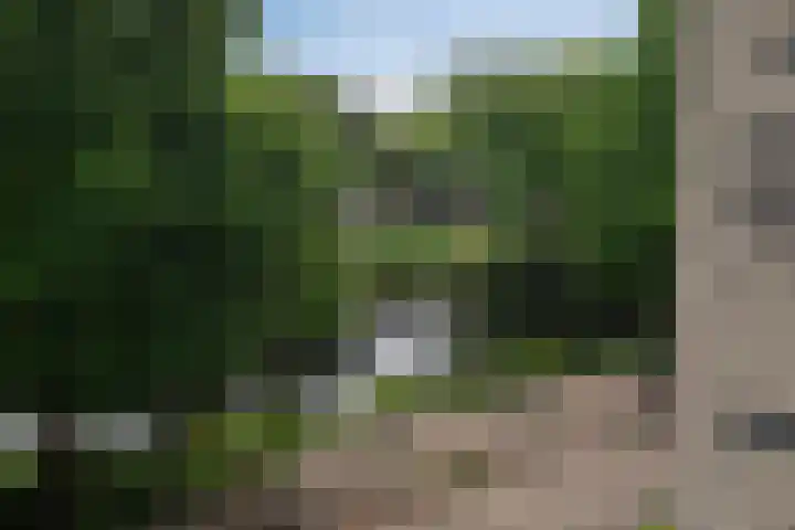 Boezemkade 277 Rotterdam thumbnail 16