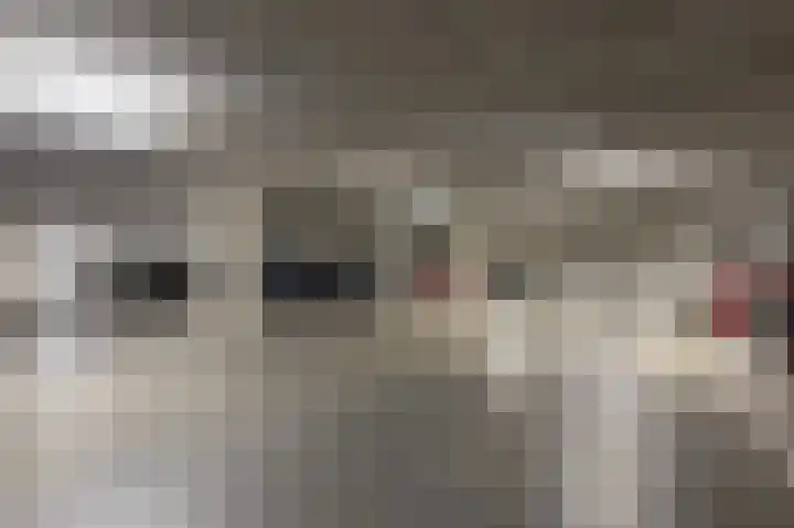 Boezemkade 277 Rotterdam thumbnail 28