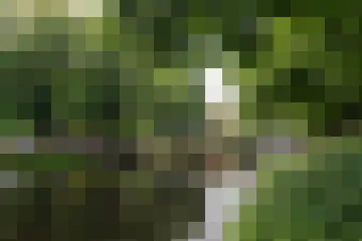 Boezemkade 277 Rotterdam thumbnail 29