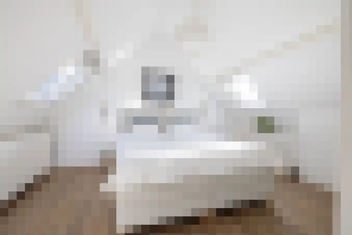 Boezemkade 32 Ridderkerk thumbnail 17