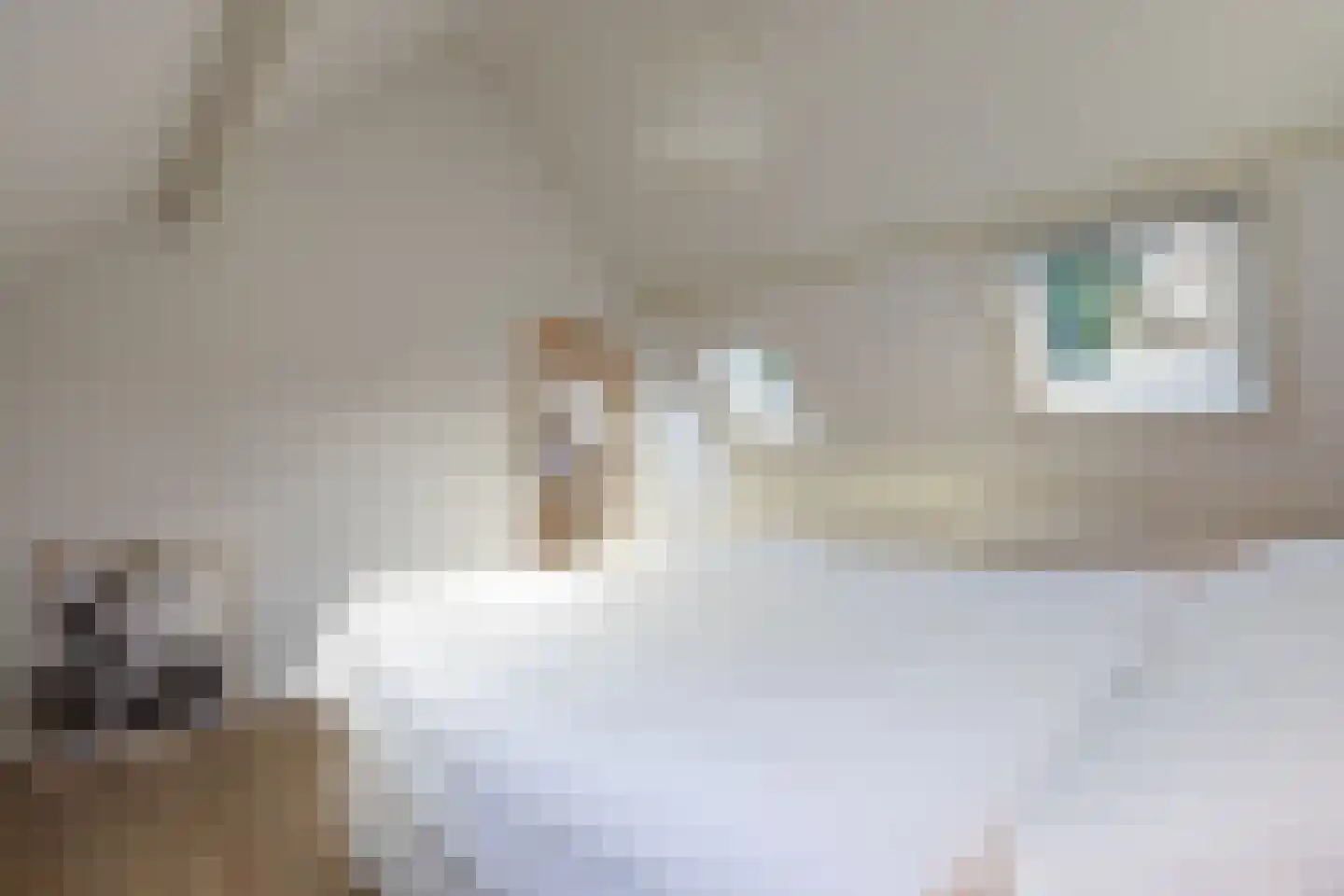 Boezemkade 32 Ridderkerk thumbnail 18