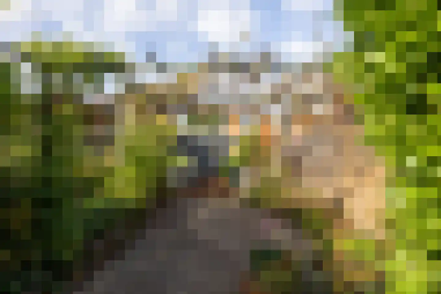 Boezemkade 32 Ridderkerk thumbnail 26