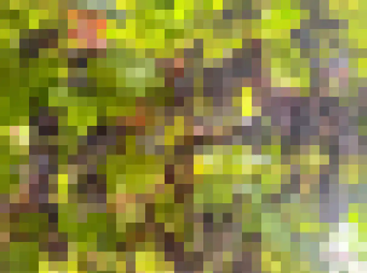 Boezemkade 32 Ridderkerk thumbnail 30