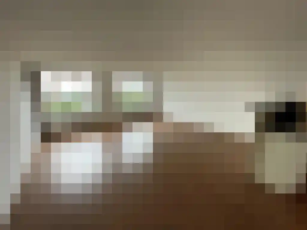 Boezemkade 329 Rotterdam thumbnail 4
