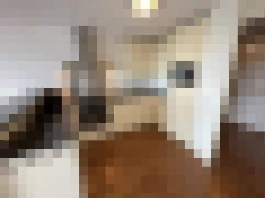 Boezemkade 329 Rotterdam thumbnail 6