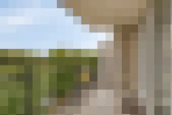Boezemkade 333 Rotterdam thumbnail 11
