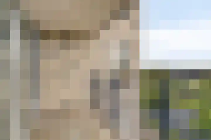 Boezemkade 333 Rotterdam thumbnail 12