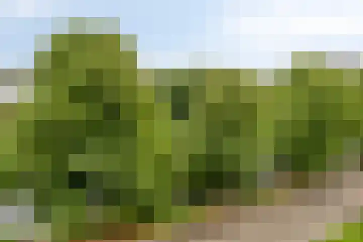 Boezemkade 333 Rotterdam thumbnail 13