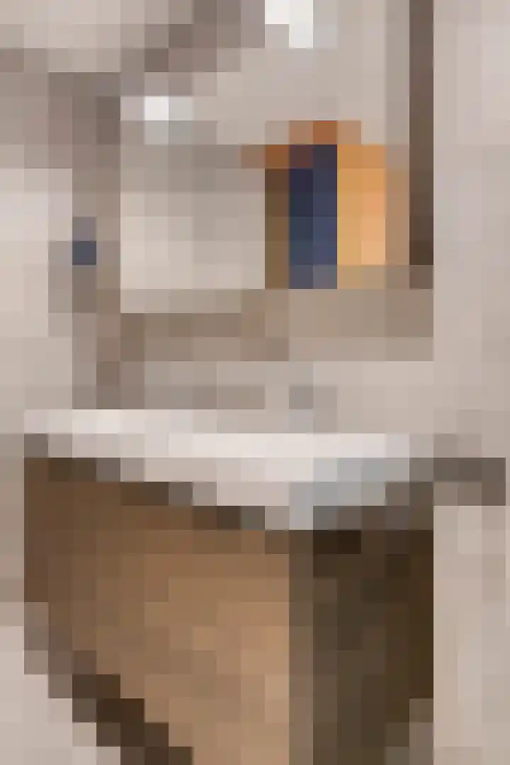 Boezemkade 333 Rotterdam thumbnail 22