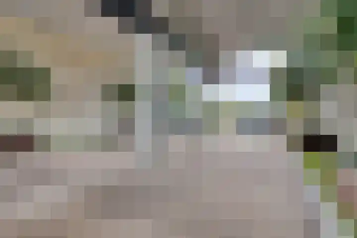 Boezemkade 333 Rotterdam thumbnail 25