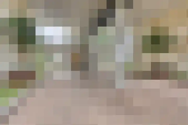 Boezemkade 333 Rotterdam thumbnail 26