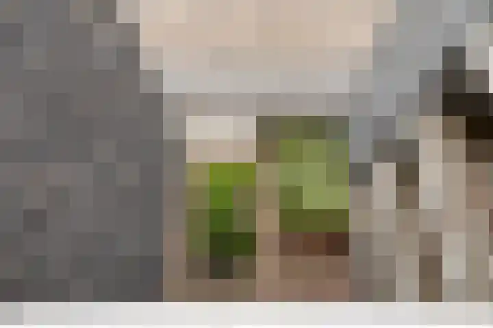 Boezemkade 333 Rotterdam thumbnail 29