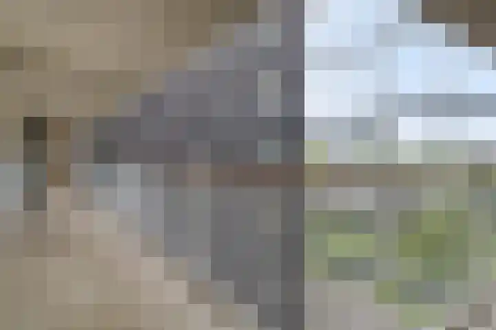 Boezemkade 333 Rotterdam thumbnail 30