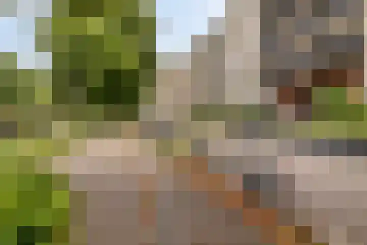 Boezemkade 333 Rotterdam thumbnail 34