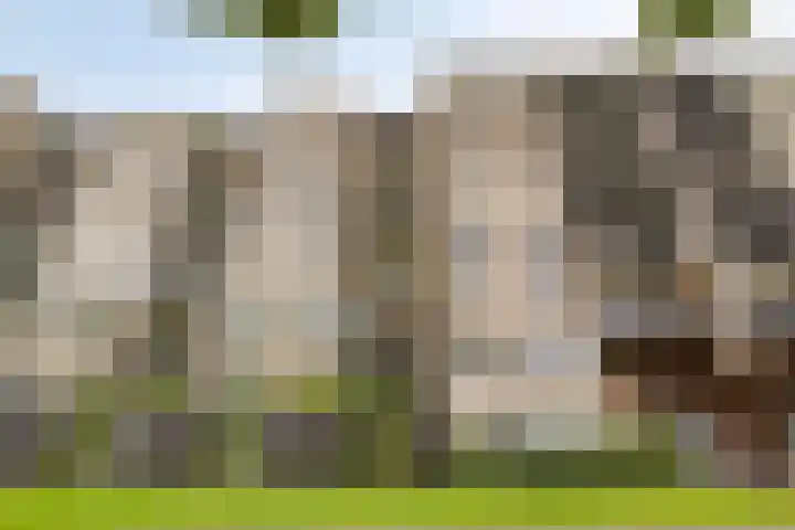 Boezemkade 333 Rotterdam thumbnail 35