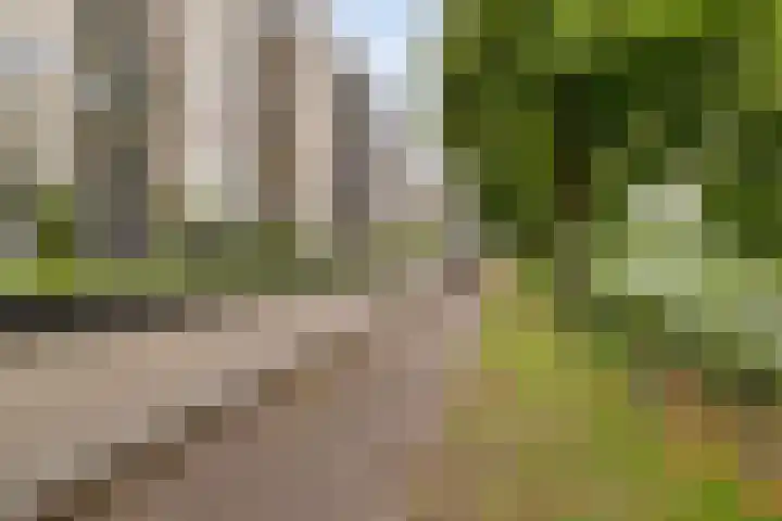 Boezemkade 333 Rotterdam thumbnail 36