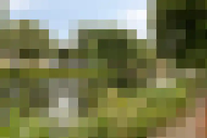 Boezemkade 333 Rotterdam thumbnail 37