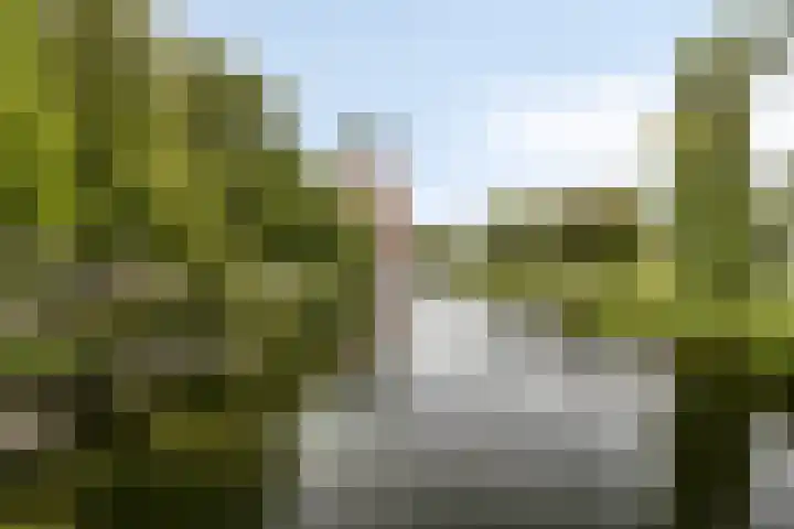 Boezemkade 333 Rotterdam thumbnail 38