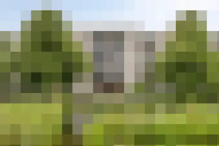 Boezemkade 333 Rotterdam thumbnail 44
