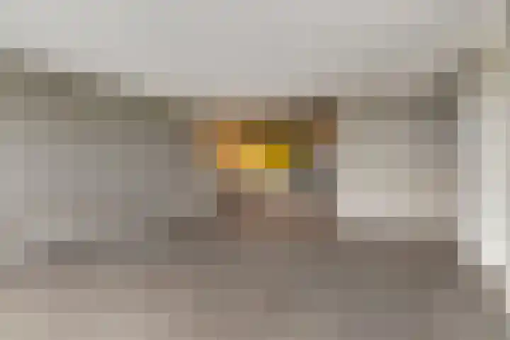 Boezemkade 333 Rotterdam thumbnail 5
