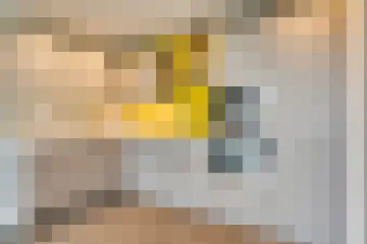 Boezemkade 333 Rotterdam thumbnail 8