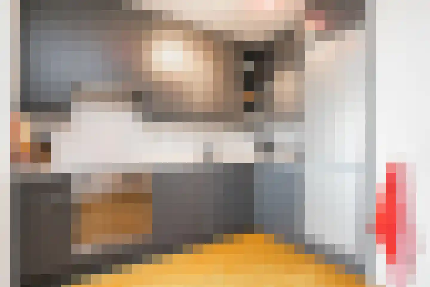 Boezemkade 335 Rotterdam thumbnail 12