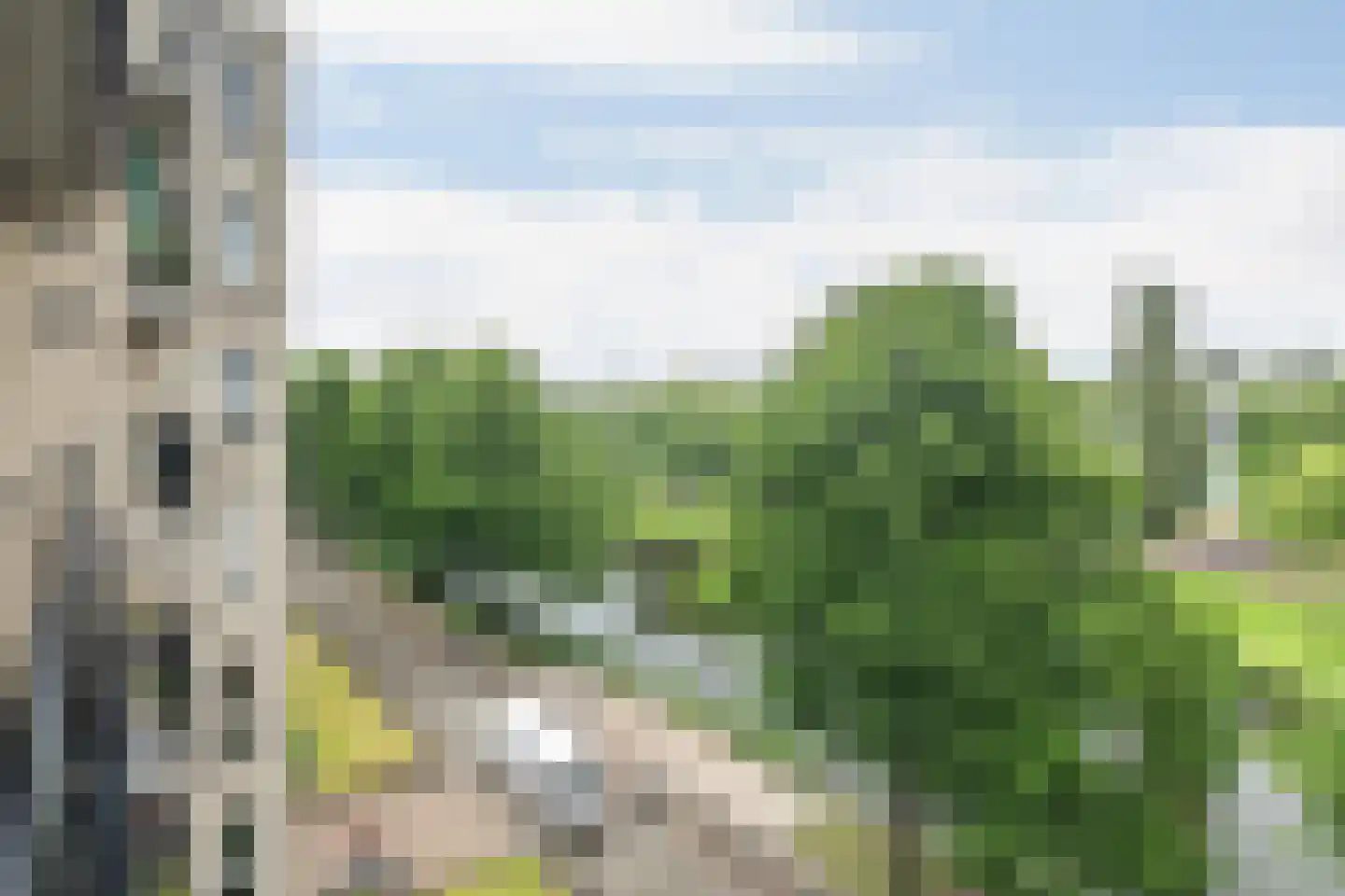 Boezemkade 335 Rotterdam thumbnail 18