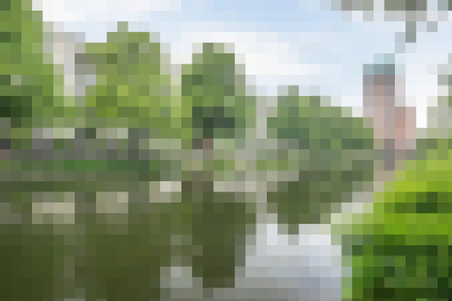 Boezemkade 335 Rotterdam thumbnail 25