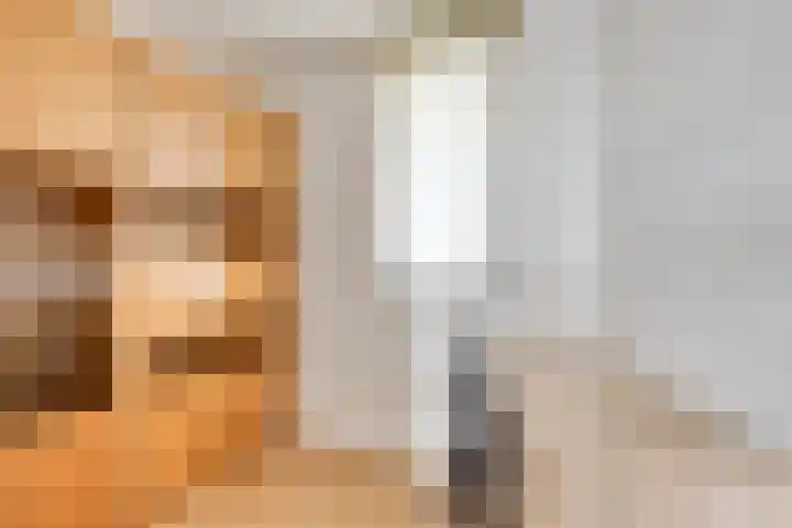 Boezemkade 353 Rotterdam thumbnail 16