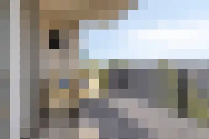 Boezemkade 353 Rotterdam thumbnail 26