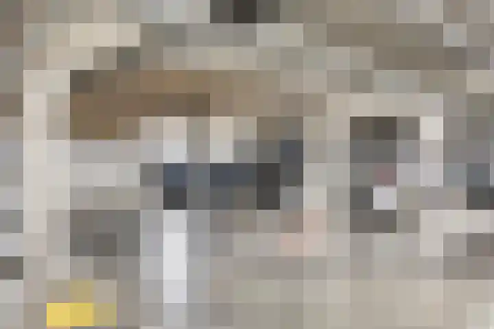Boezemkade 353 Rotterdam thumbnail 27