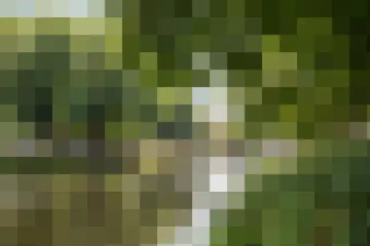 Boezemkade 353 Rotterdam thumbnail 31