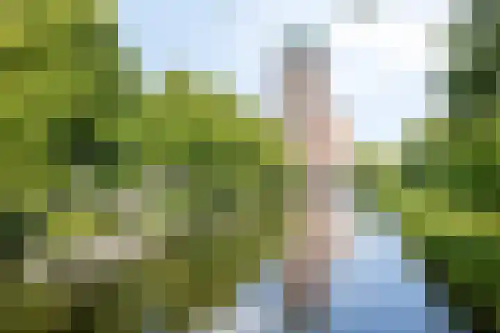 Boezemkade 353 Rotterdam thumbnail 32