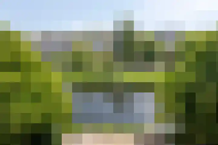 Boezemkade 353 Rotterdam thumbnail 5