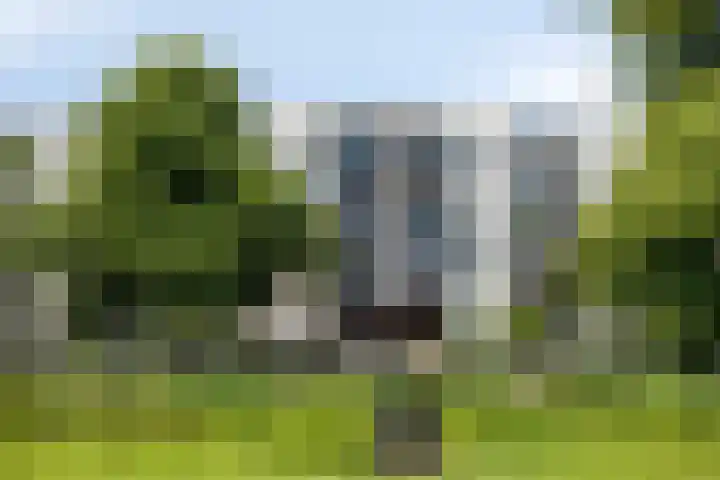 Boezemkade 353 Rotterdam thumbnail 6