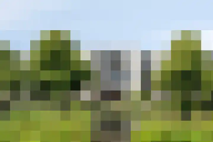 Boezemkade 353 Rotterdam thumbnail 7