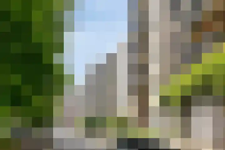 Boezemkade 353 Rotterdam thumbnail 9