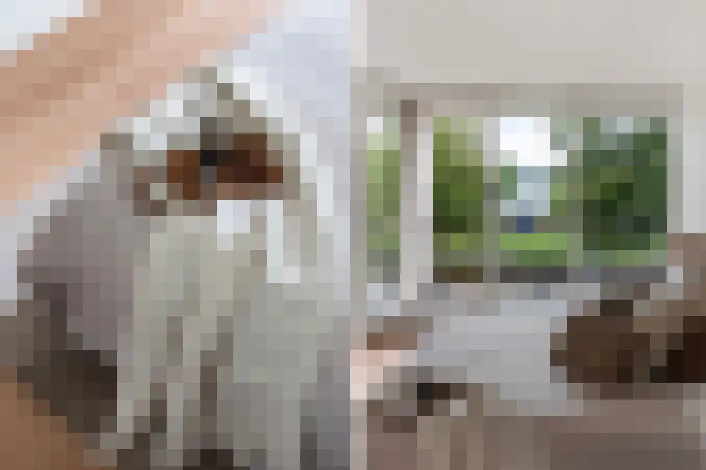 Boezemkade 41 Rotterdam thumbnail 20