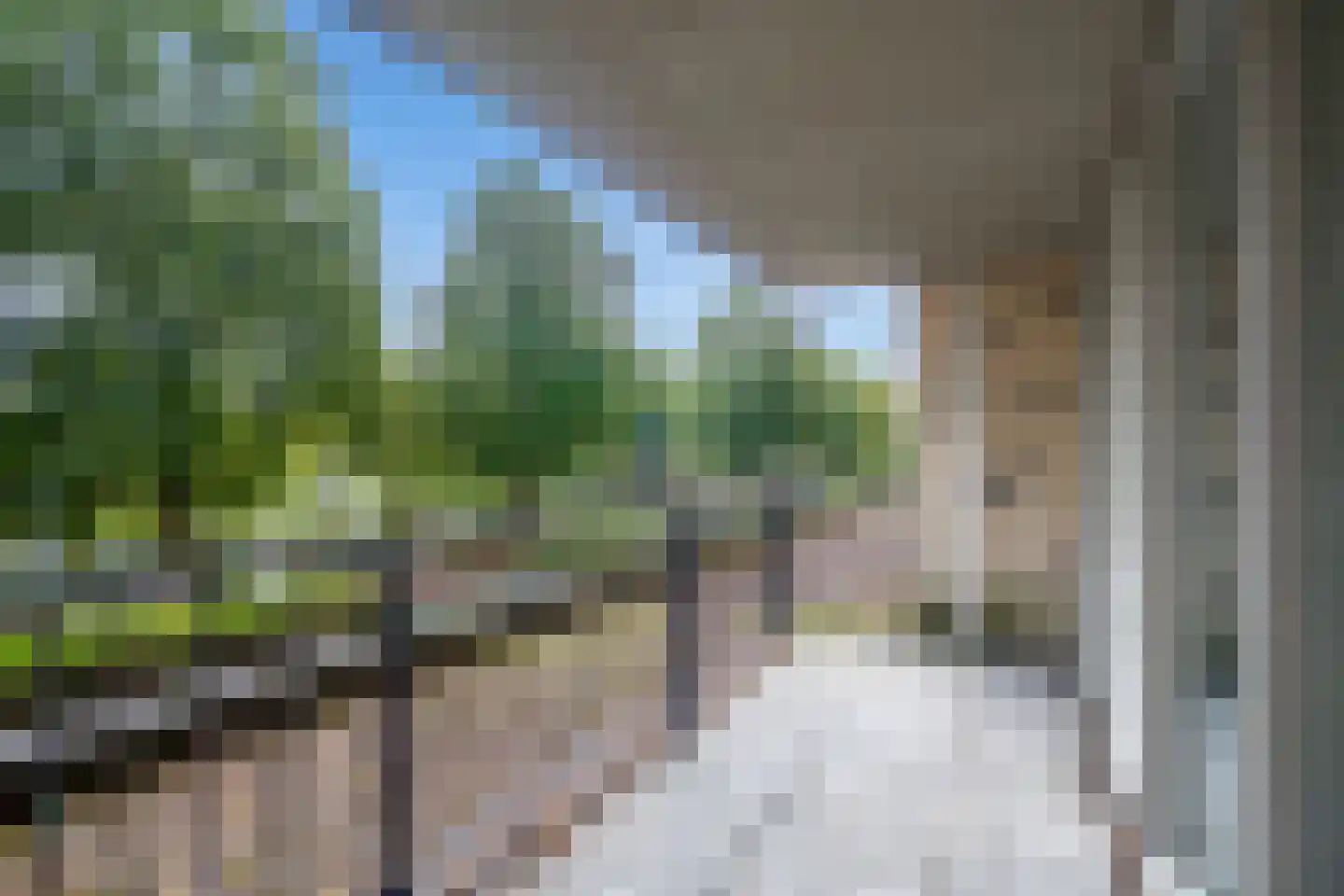 Boezemkade 41 Rotterdam thumbnail 23