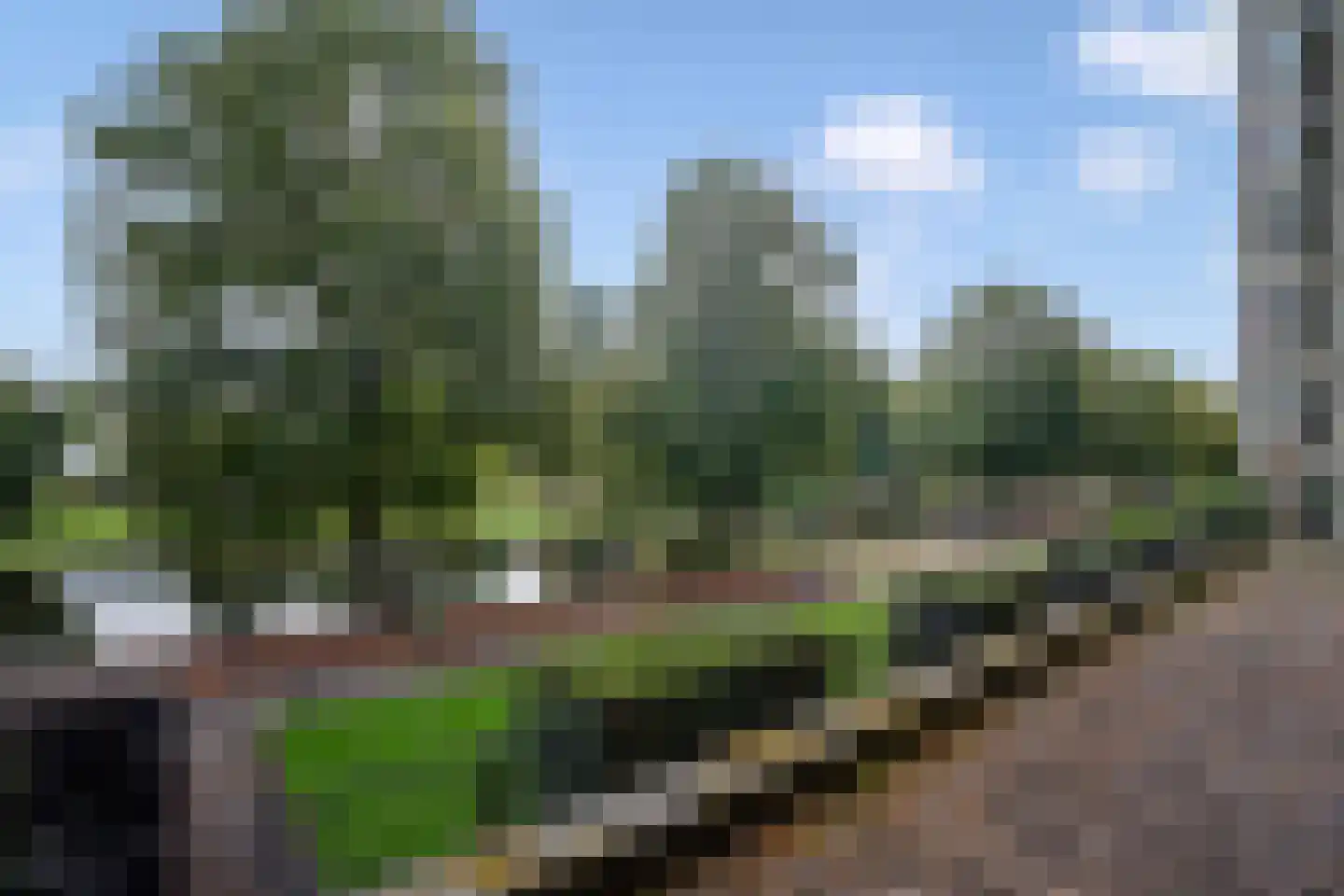 Boezemkade 41 Rotterdam thumbnail 24