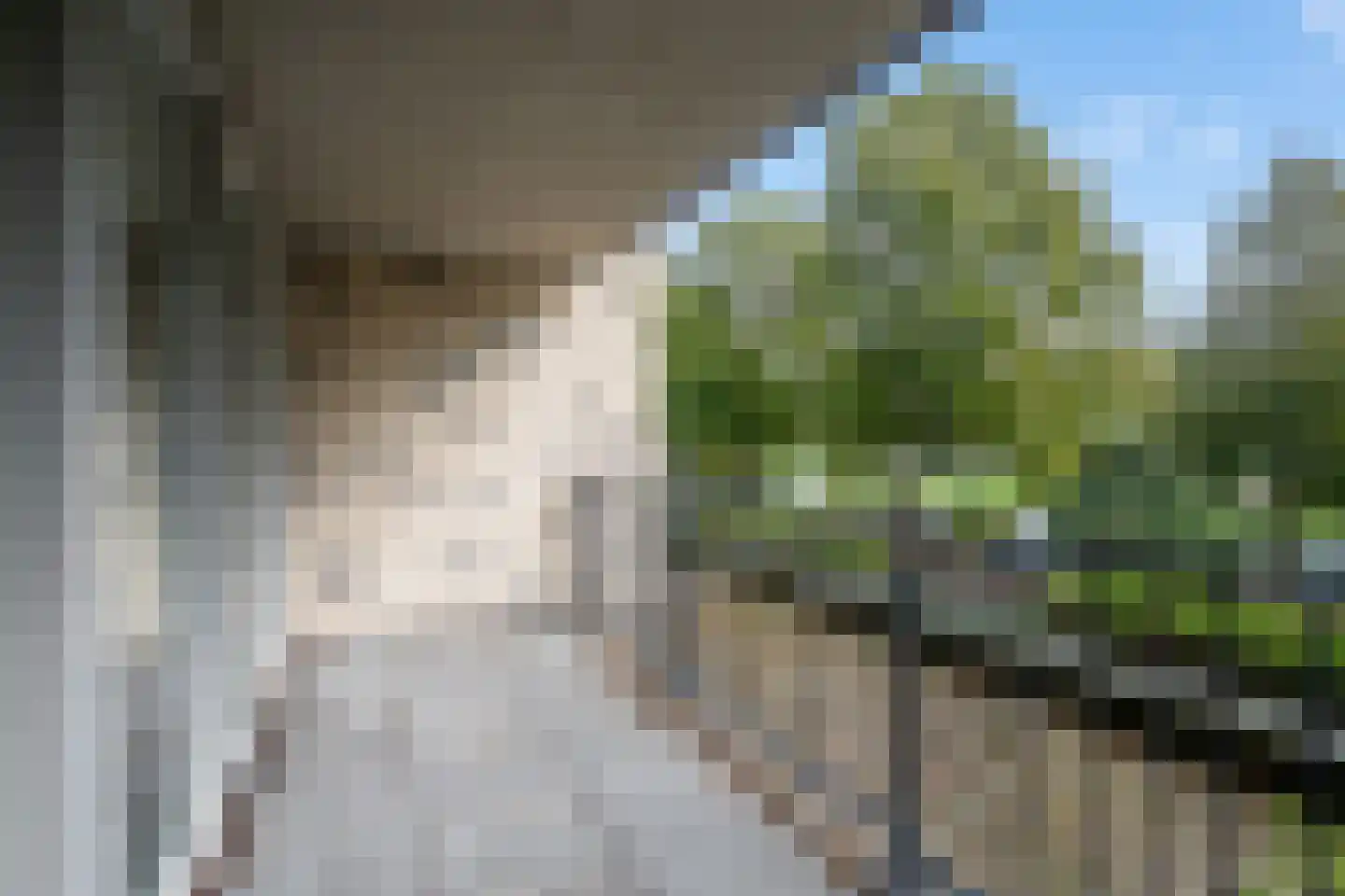 Boezemkade 41 Rotterdam thumbnail 4