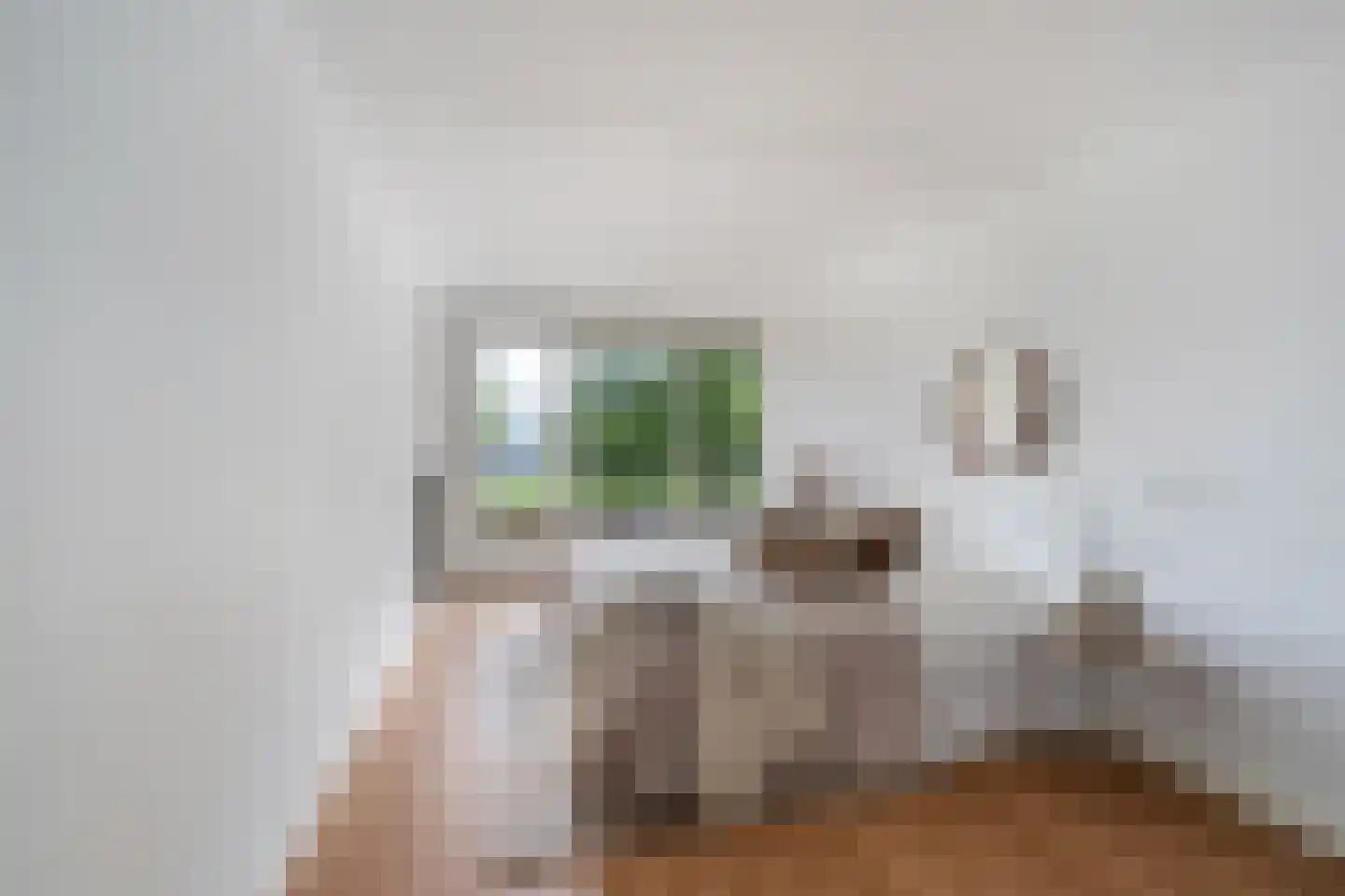 Boezemkade 41 Rotterdam thumbnail 5
