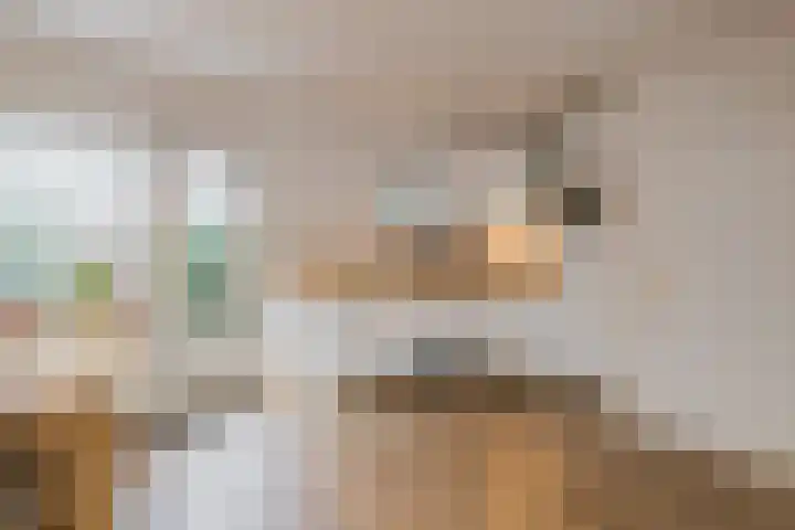 Boezemkade 6 Spaarndam gem. Haarlem thumbnail 12
